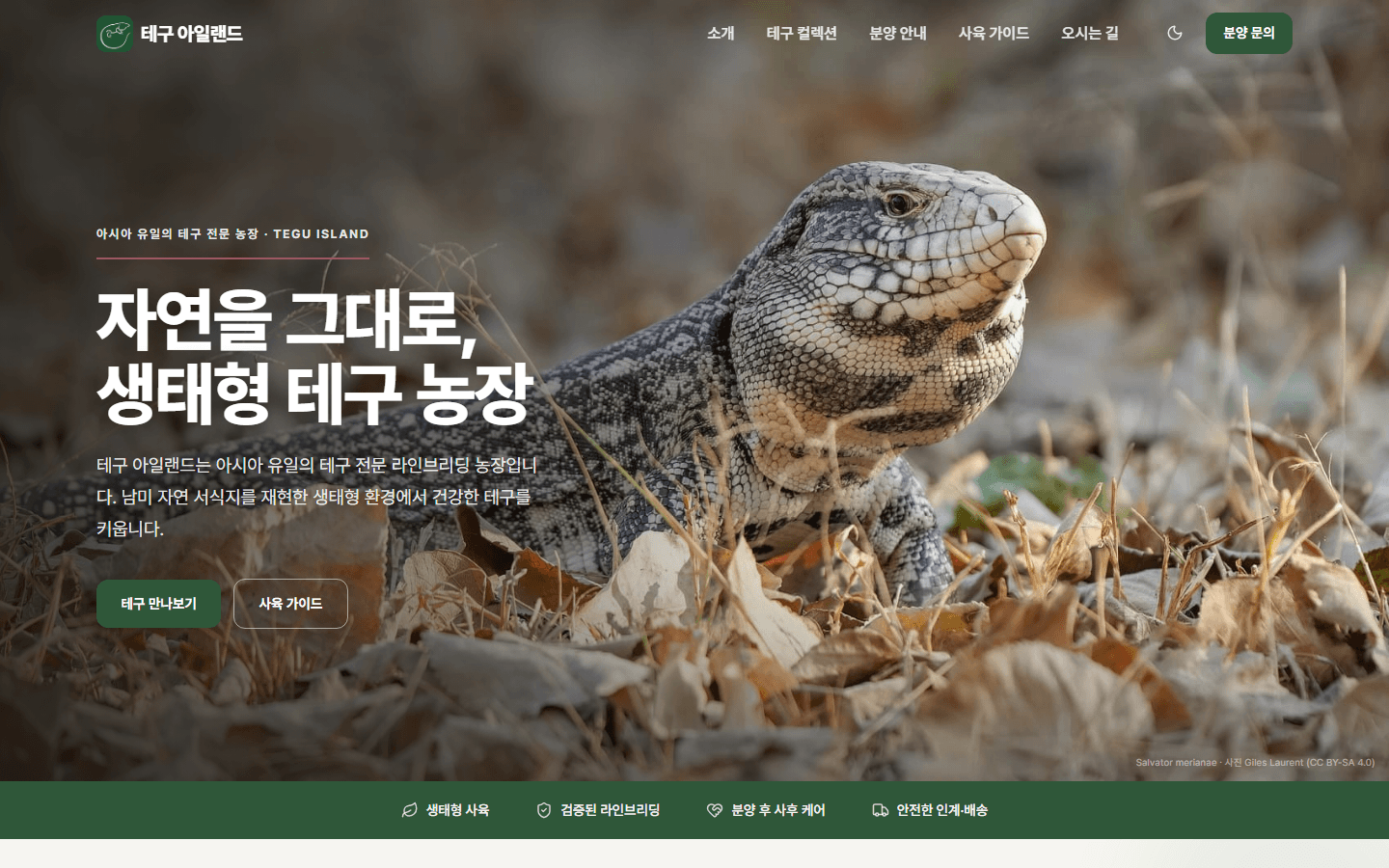 반려 파충류 전문 브랜드 사이트
